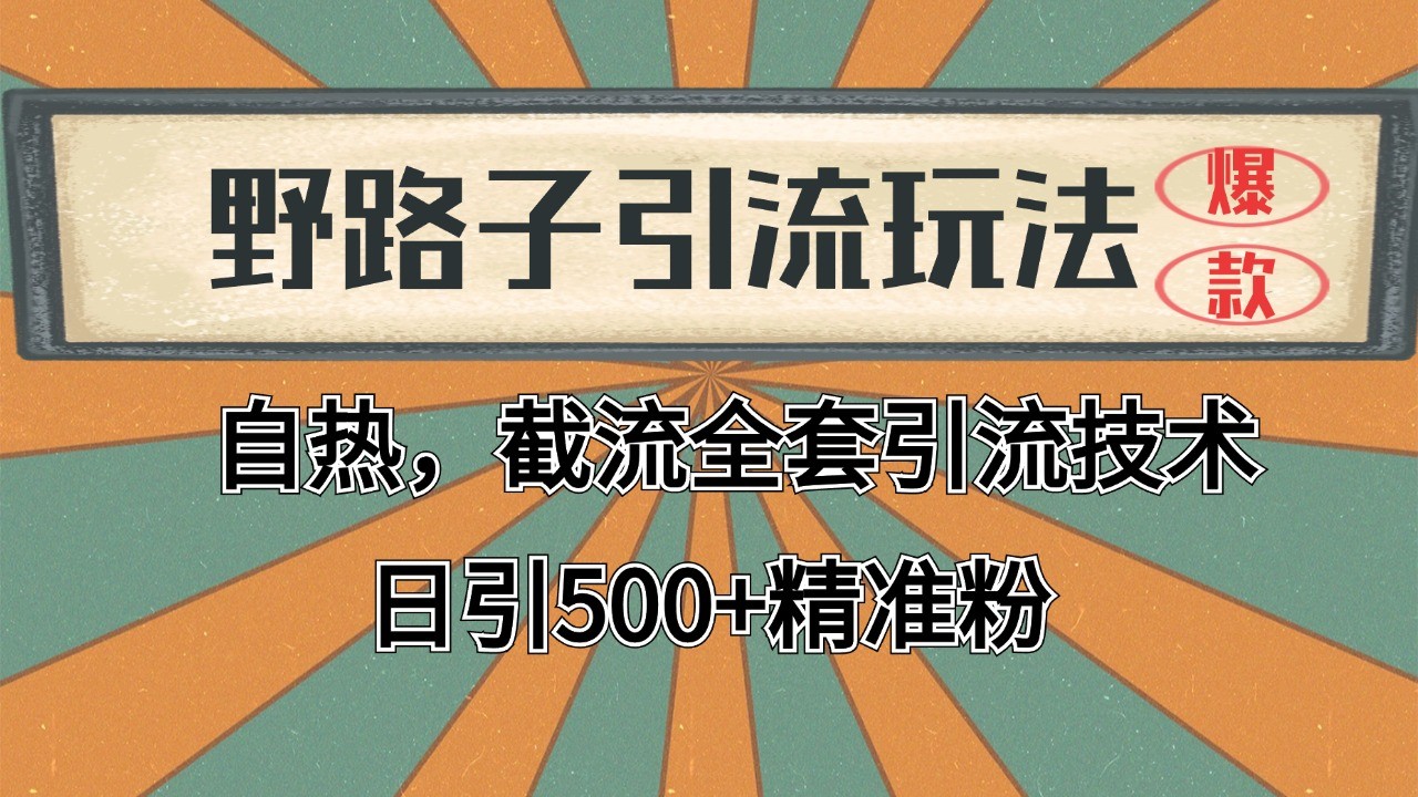 2024首发野路子引流玩法截流自热全平台打法，全自动引流【日引2000+精准客户】-知行创·网创