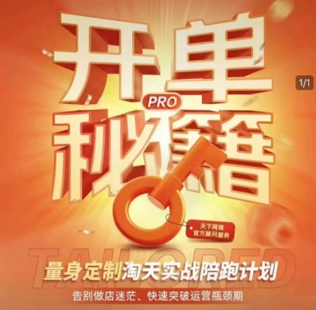 淘宝开单秘籍PRO，量身定制淘天实战陪跑计划，告别做店迷茫、快速突破运营瓶颈期(更新6月)-知行创·网创