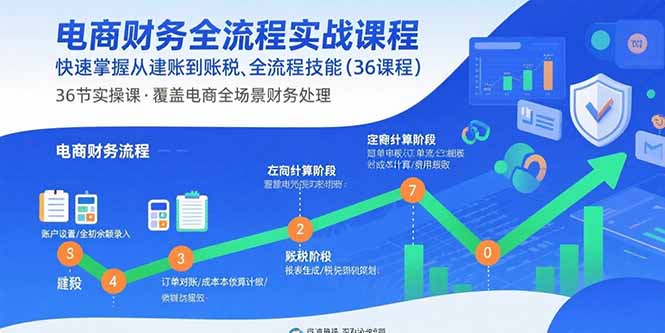 电商财务全流程实战课程：快速掌握从建账到报税的全流程技能(36节课-知行创·网创