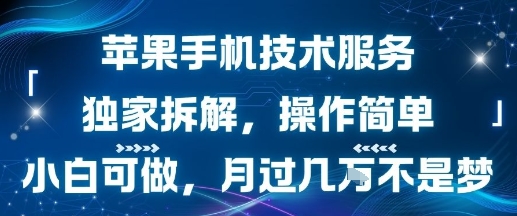 苹果手机技术服务，独家拆解，操作简单，小白可做，月过1W不是梦-知行创·网创