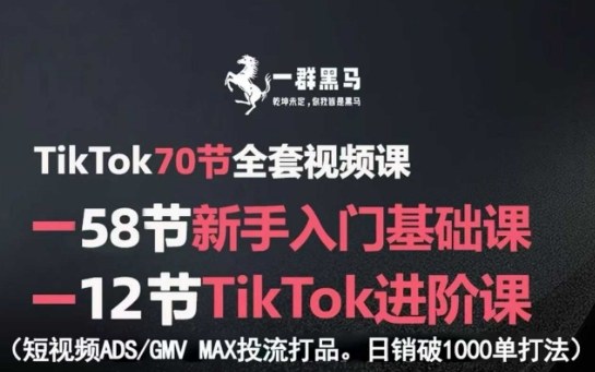 TikTok全套视频课，新手入门+进阶课，短视频ADS-GMV MAX投流打品，日销破1000单打法-知行创·网创
