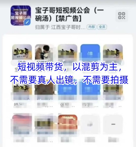 宝子哥头部团队短视频带货，以混剪为主，不需要真人出镜，不需要拍摄【更新】-知行创·网创