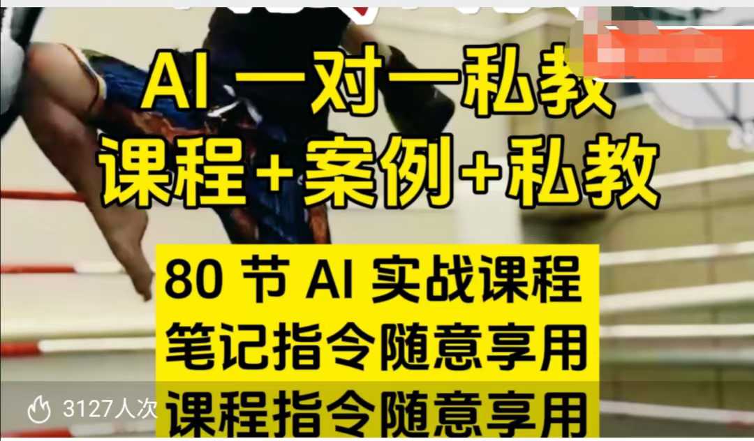 AI指令实战课，课程+案例，80节AI实战课程，笔记指令随意享用，课程指令随意享用(更新7月)-知行创·网创