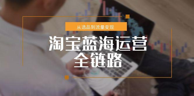 淘宝蓝海运营全链路，从选品到流量变现，小类目突围完整方案-知行创·网创
