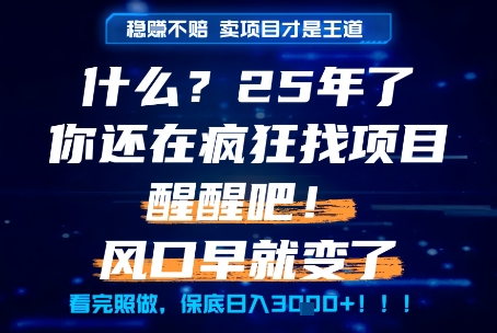 什么？25年你还在疯狂找项目做，醒醒吧，看完这些你全都懂了！【揭秘】-知行创·网创