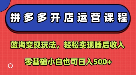 拼多多开店运营课程：蓝海变现玩法，轻松实现睡后收入，零基础小白也可日入5张-知行创·网创