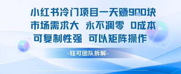 小红书冷门项目一天收益9张，市场需求大，0成本，可复制性强可以矩阵操作-知行创·网创