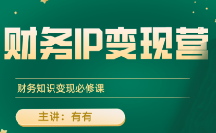 有有老师·财务IP变现营，财务知识变现必修课-知行创·网创